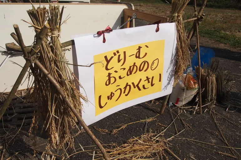 【収穫祭】ドリームの田んぼで新米を食べよう！