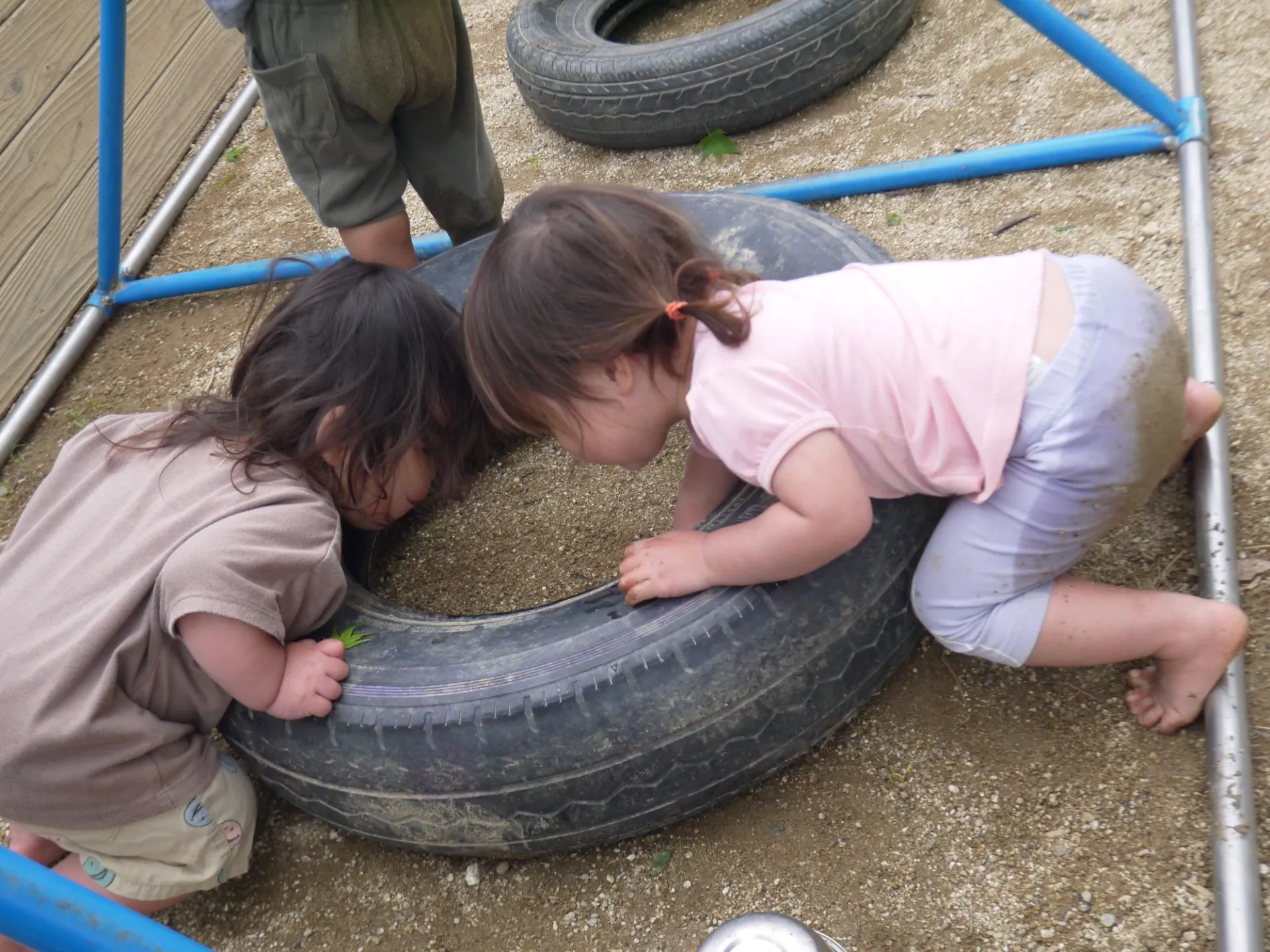 第１りす組　2026年3月（第４週）