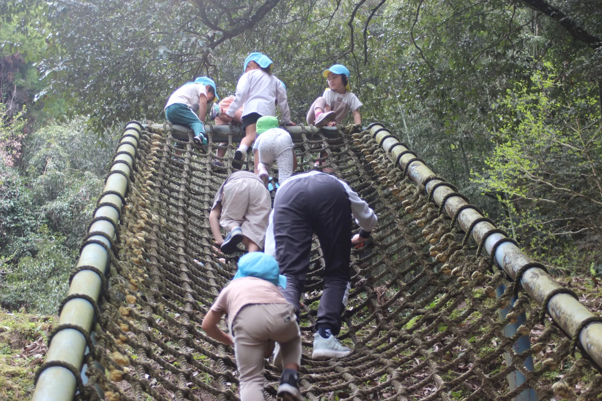 第１ひつじ組　２０２６年３月（第４週）