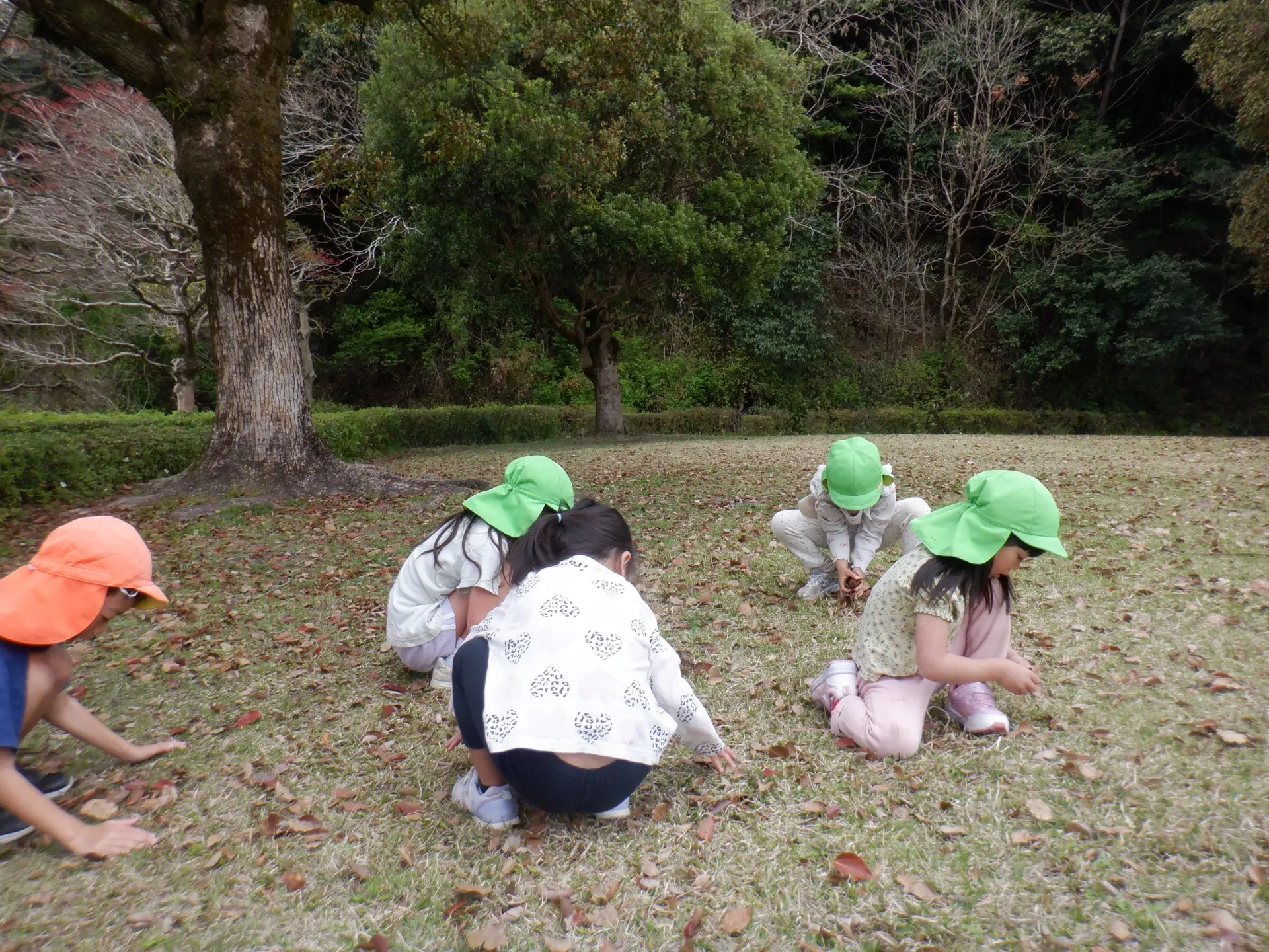 第２ぞう組　２０２６年３月（第４週）