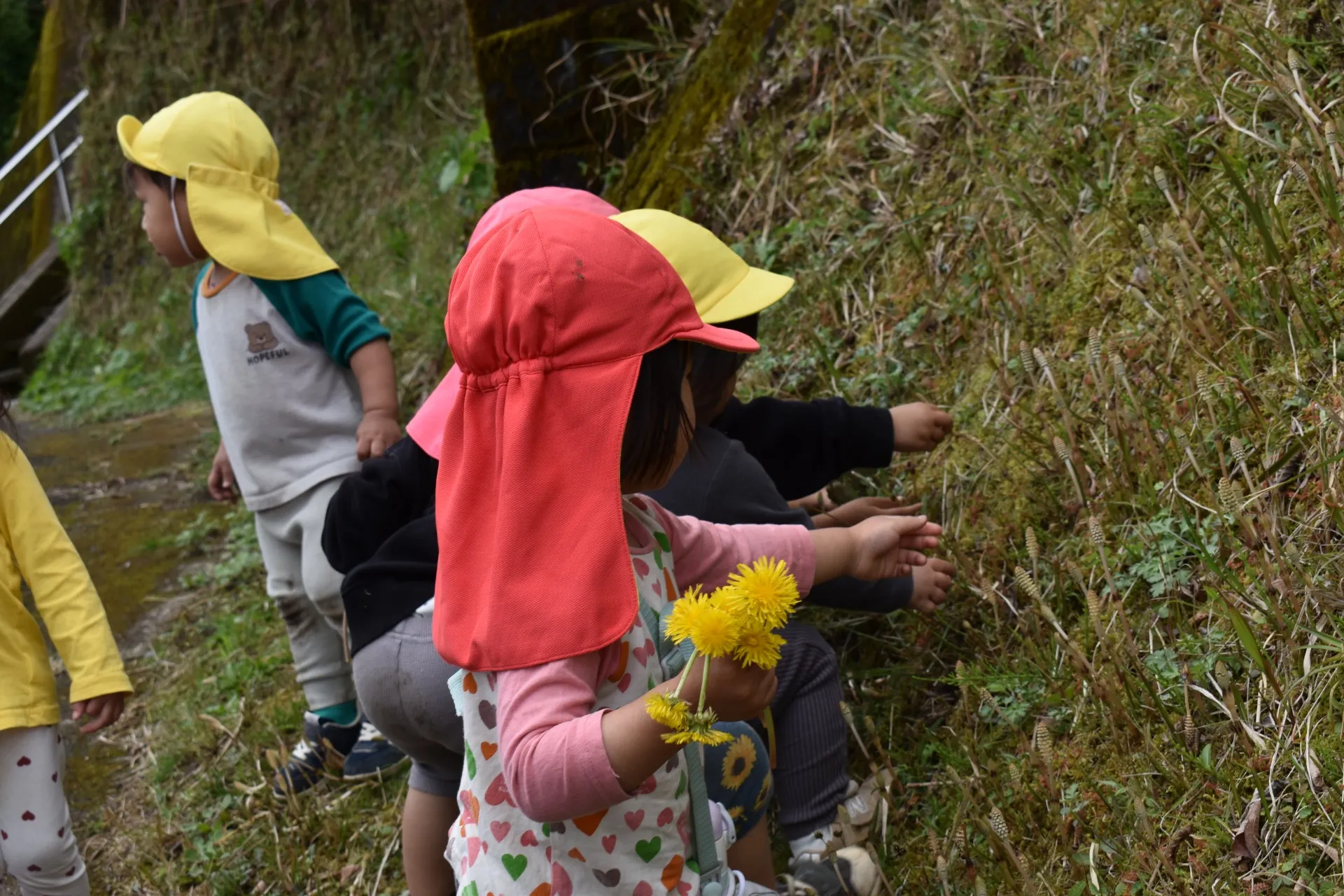 第２うさぎ組　２０２６年３月（第４週）