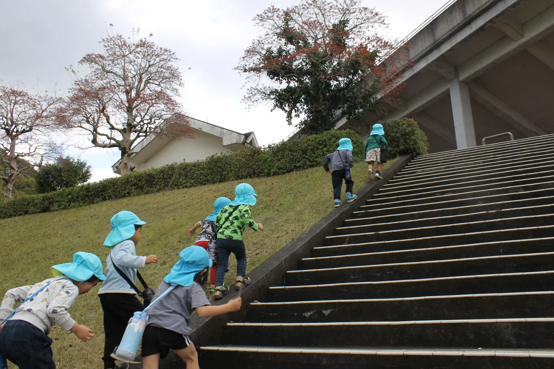 第２ひつじ組　２０２６年３月（第４週）