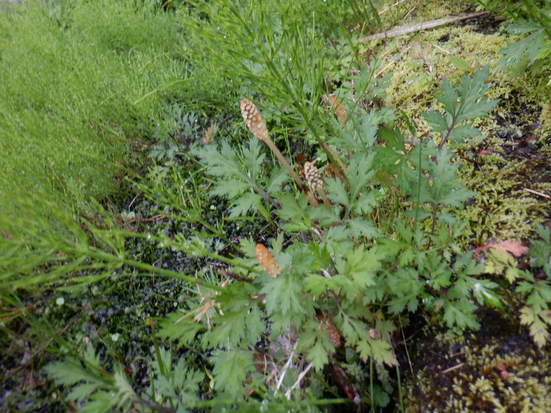 第2りす組 2026年4月(第1週)