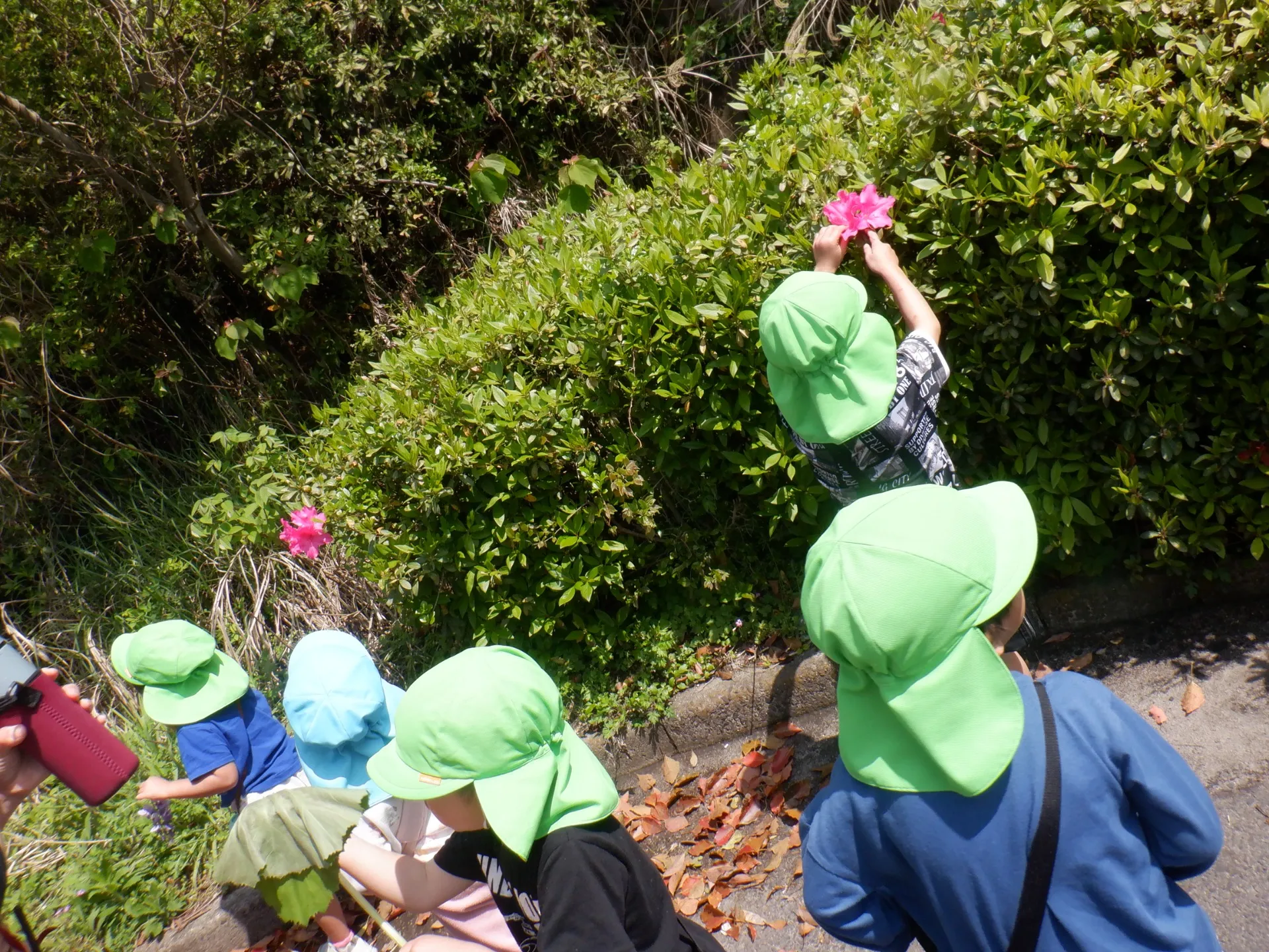 第2ぞう組 2026年4月(第1週)