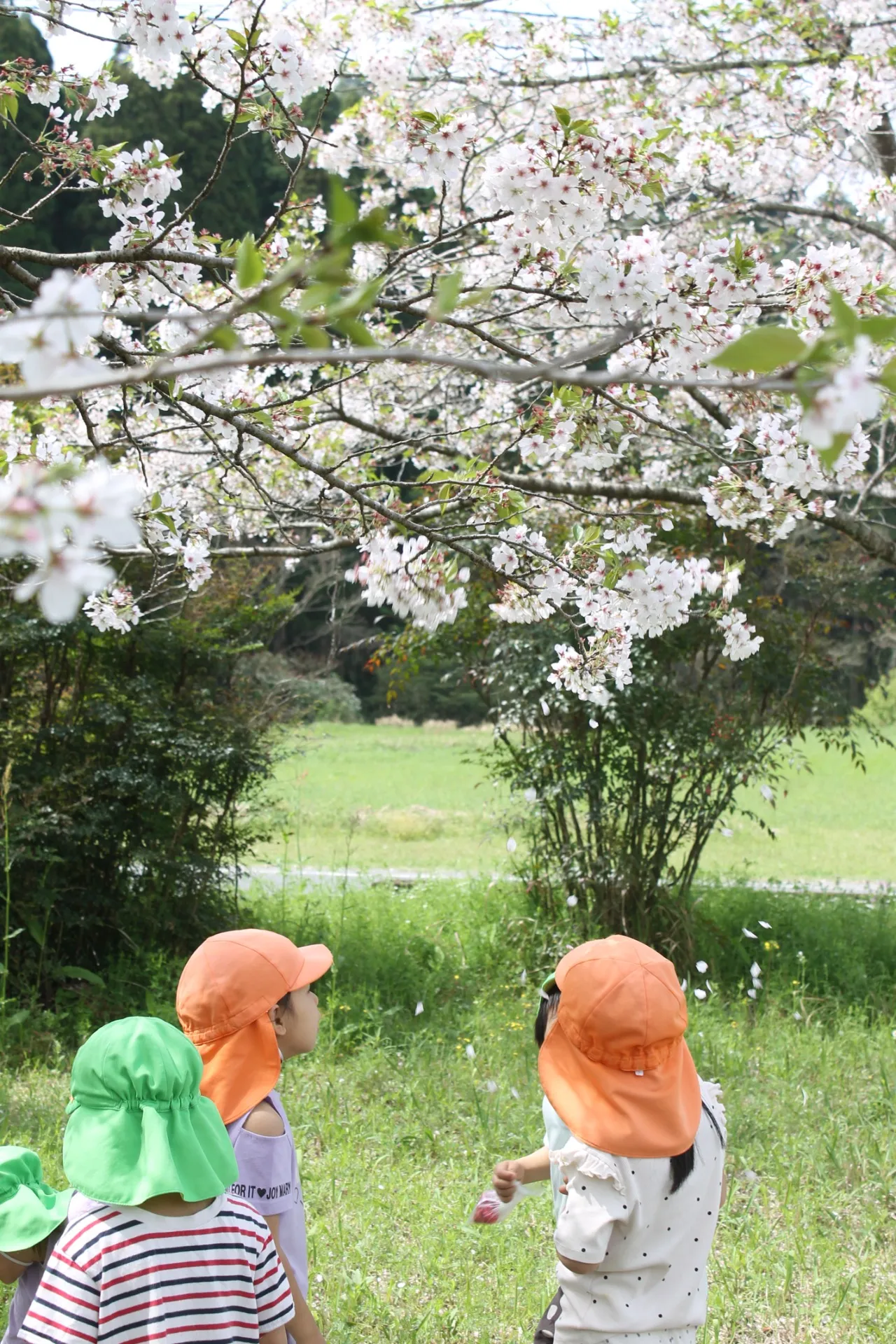 第2きりん組 2026年4月(第1週)