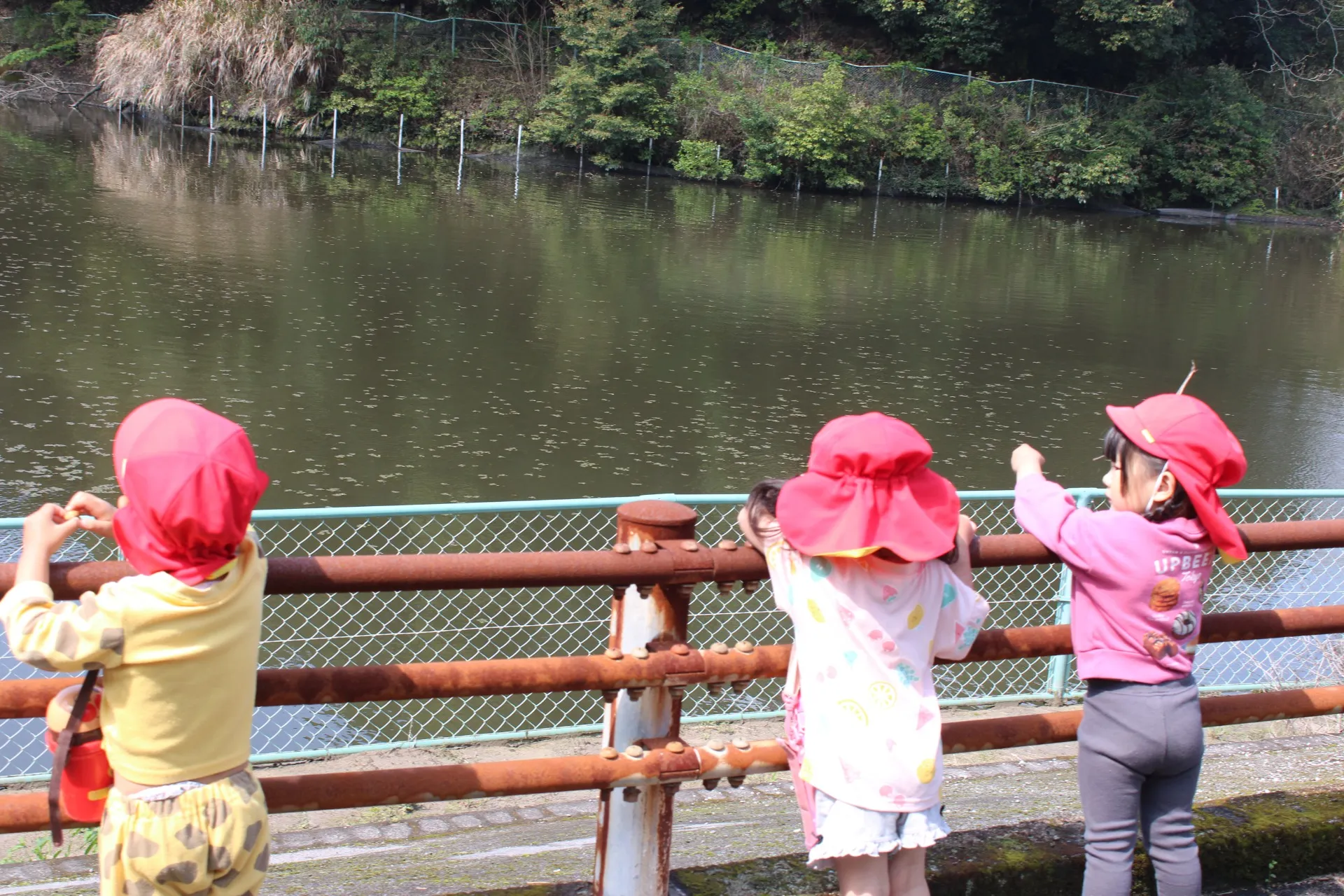 第2うさぎ組 2026年4月(第1週)