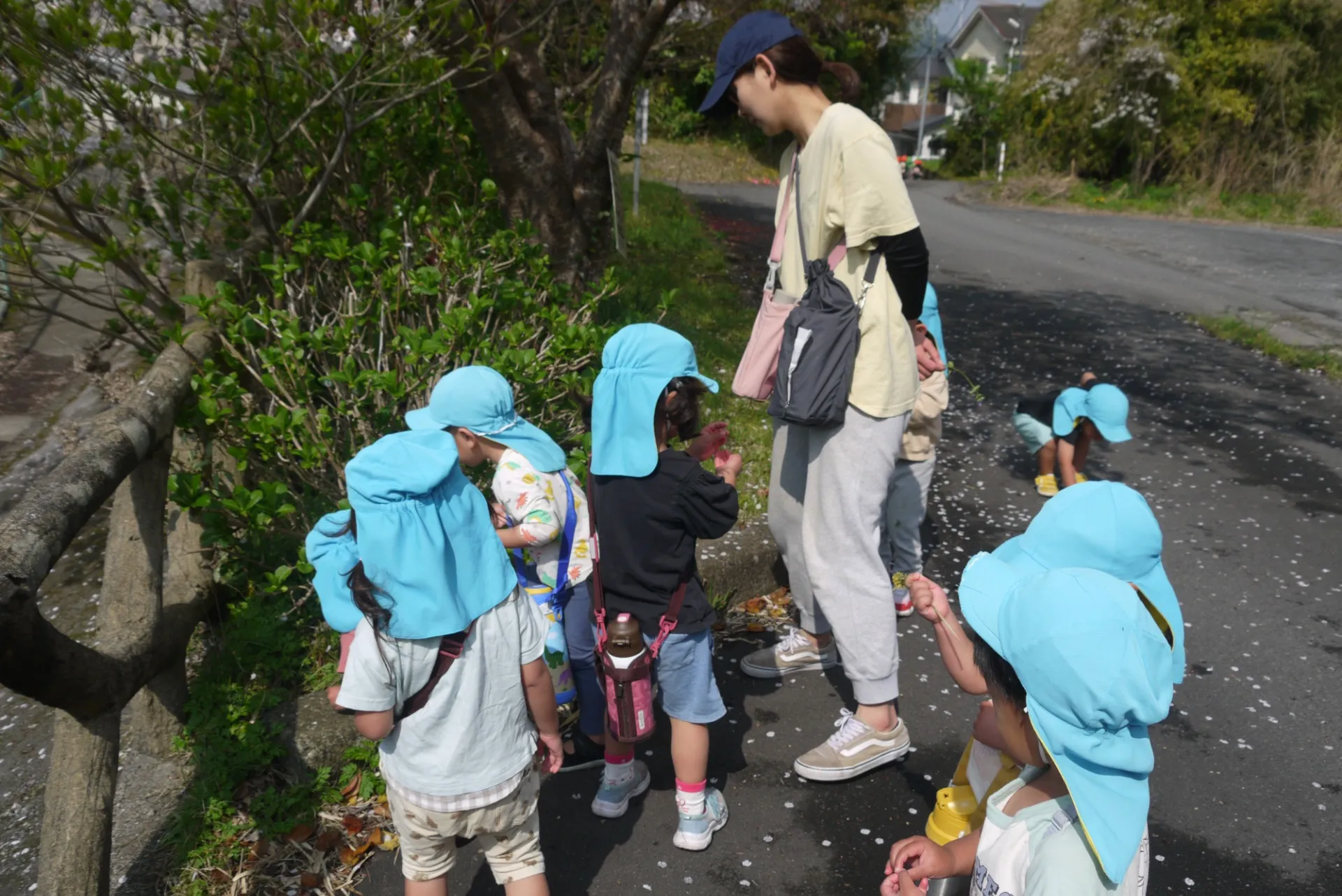第1ひつじ組 2026年4月(第1週)