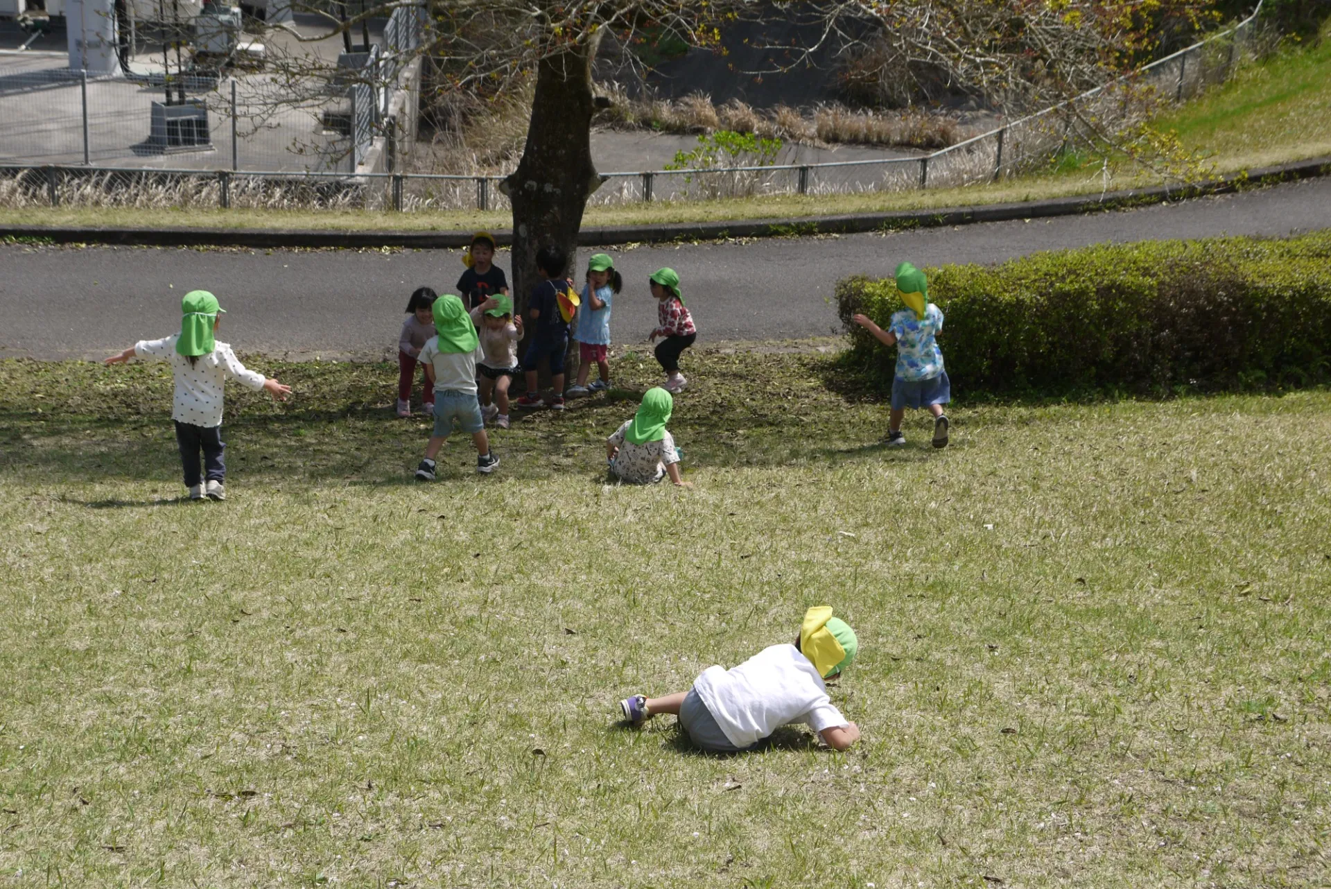 第1ぞう組 2026年4月(第1週)