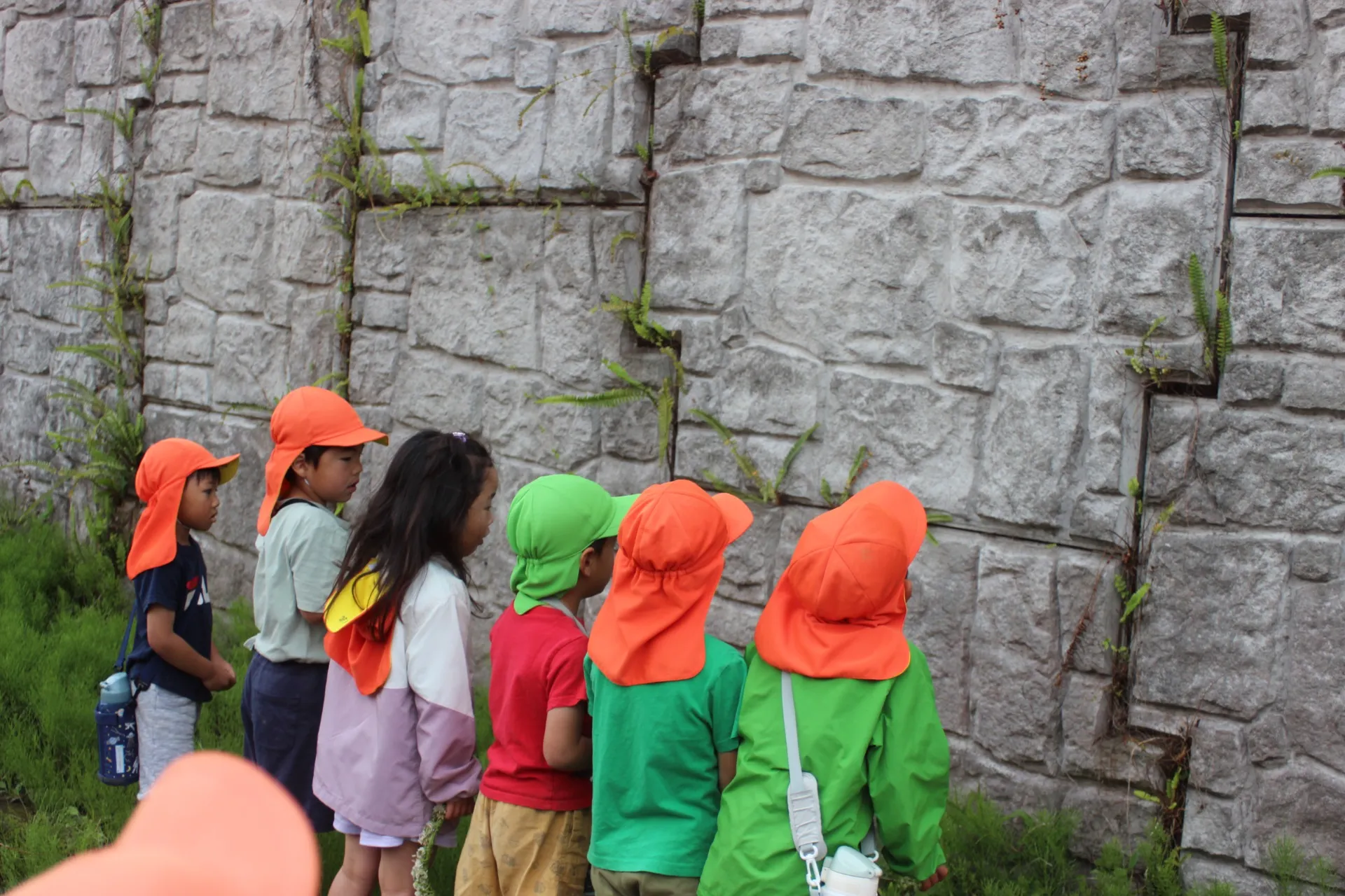 第1きりん組 2026年4月(第1週)