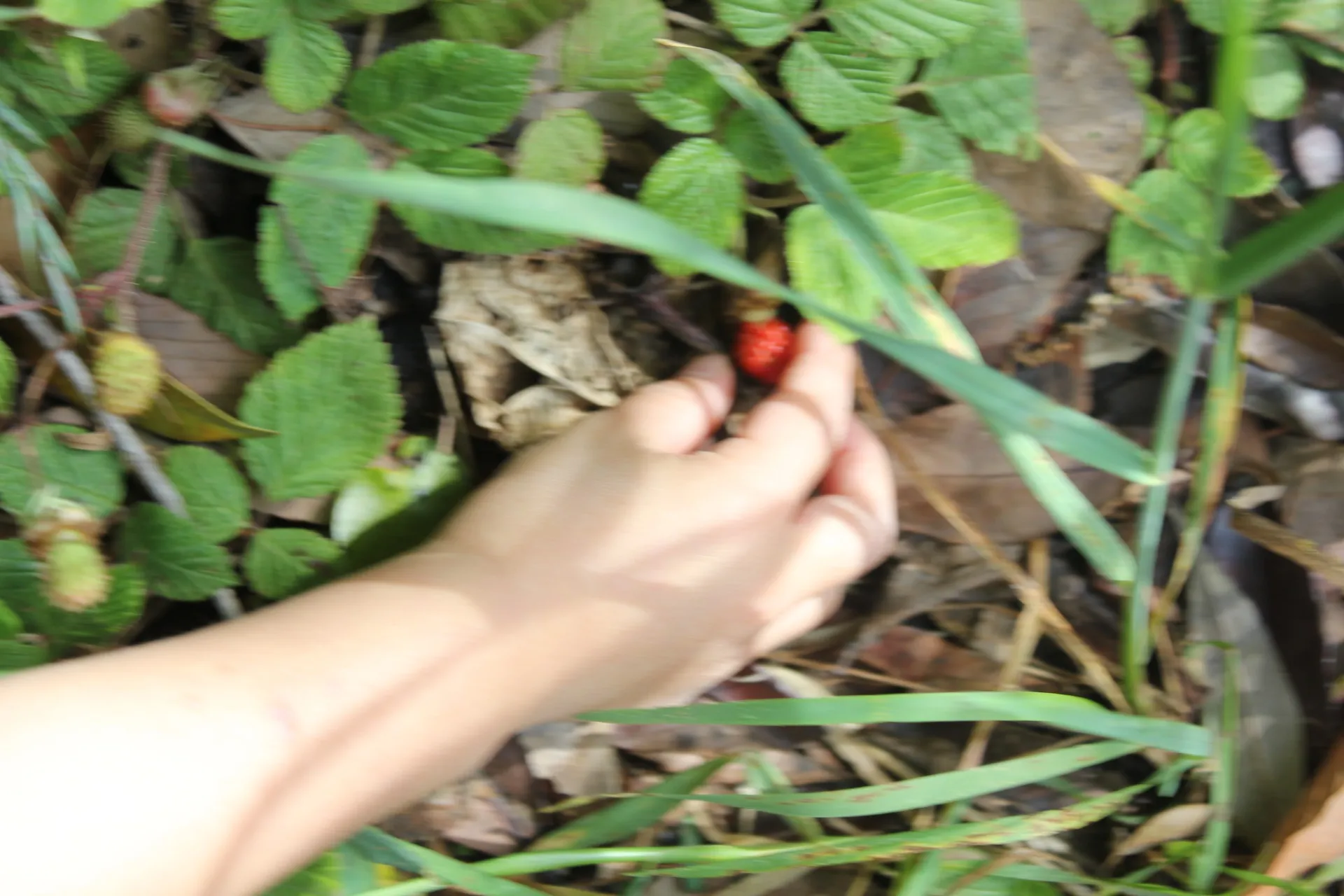 第2ひつじ組 2026年4月(第2週)