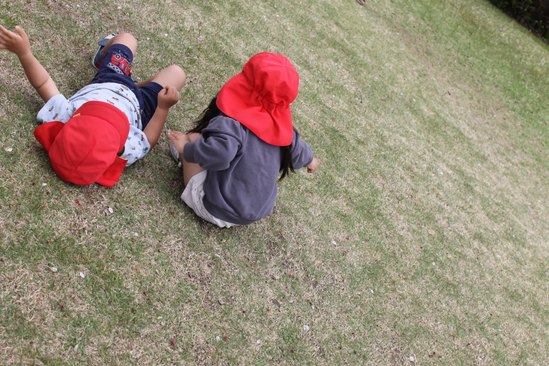 第2うさぎ組 2026年4月(第2週)