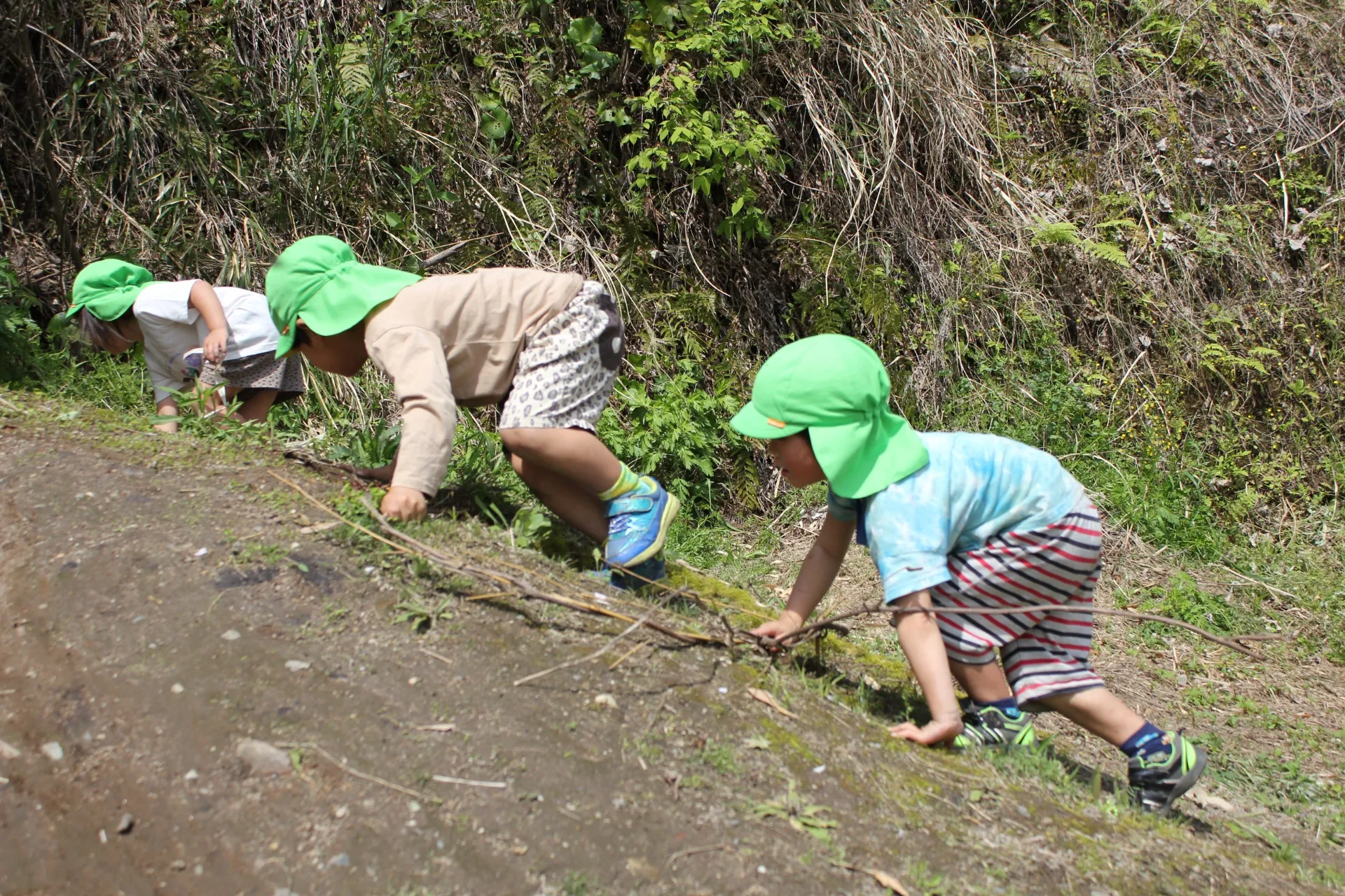 第2ぞう組 2026年4月(第2週)