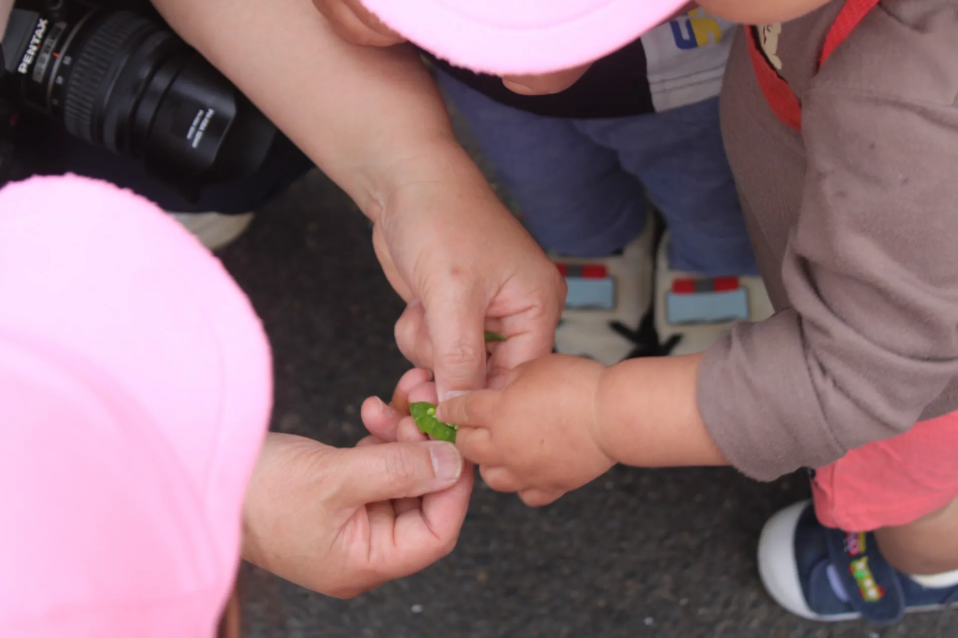 第１りす組　２０２６年４月（第２週）