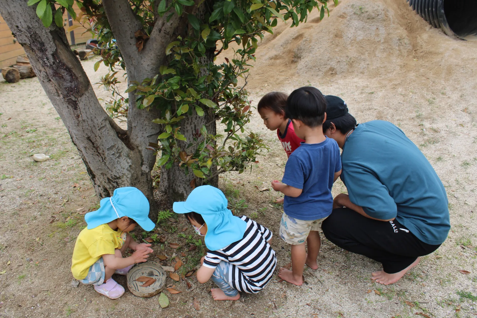 第１ひつじ組　２０２６年４月（第２週）