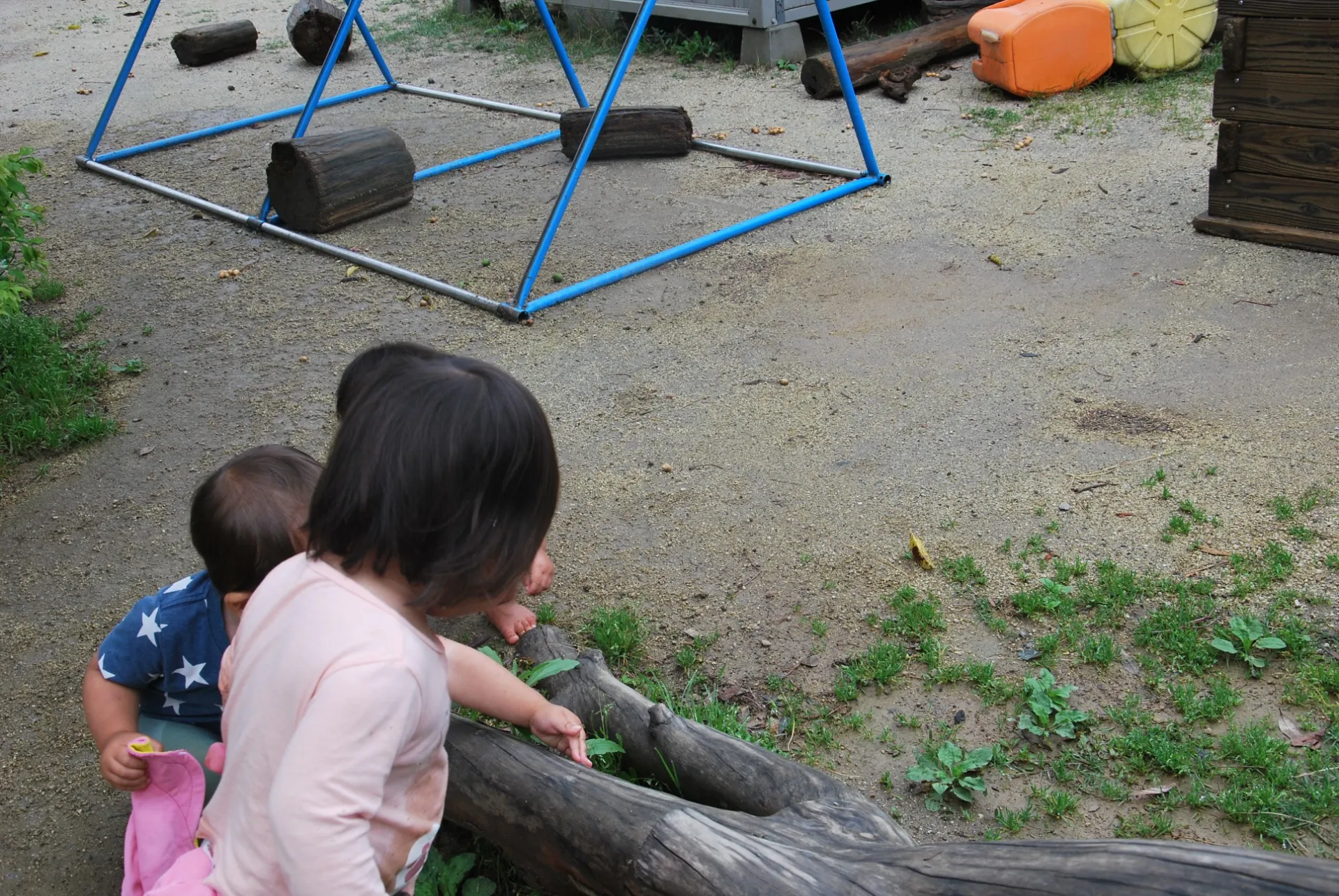 第１りす組　2026年4月（第３週）