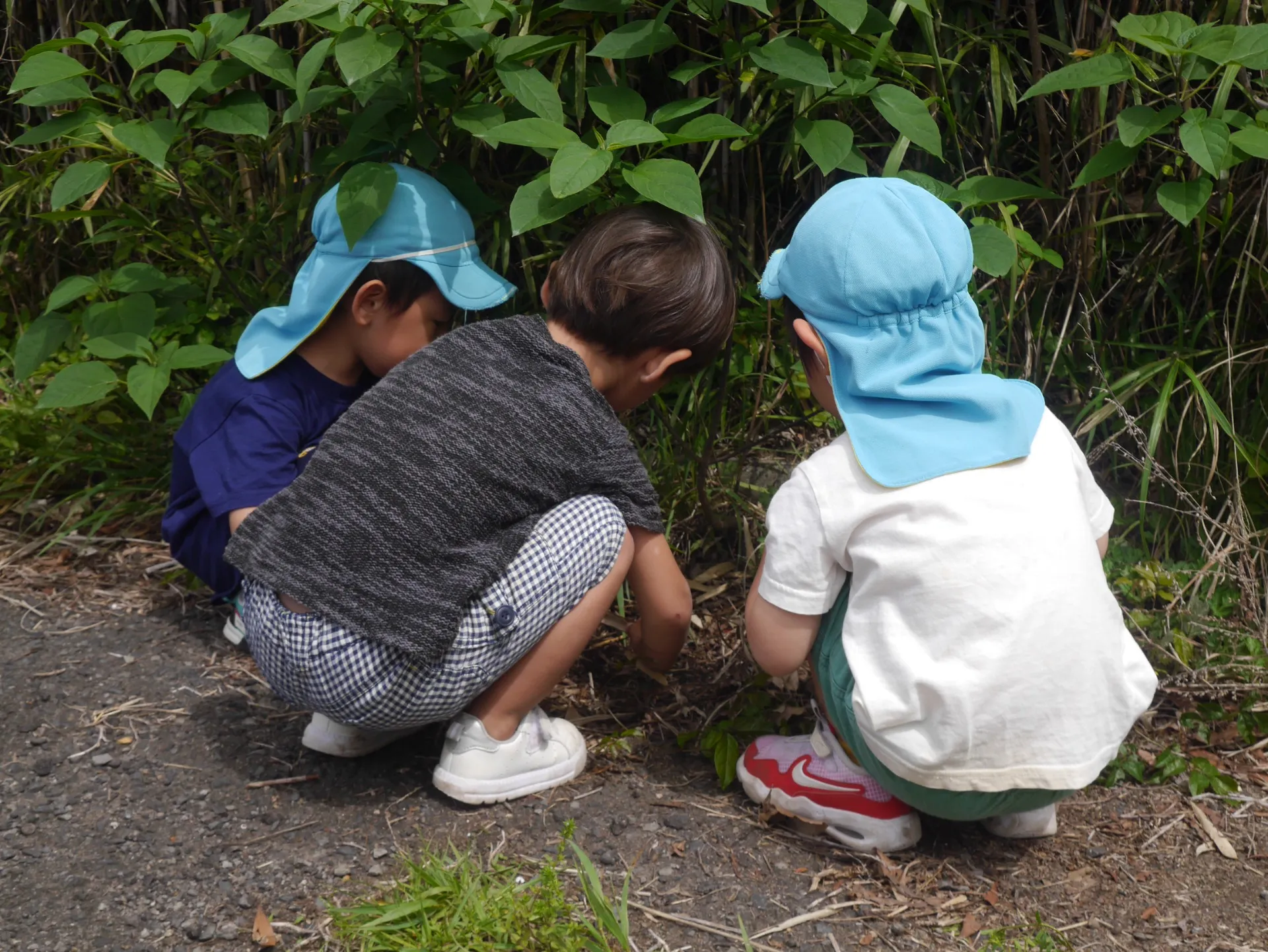 第１ひつじ組　２０２６年４月（第３週）
