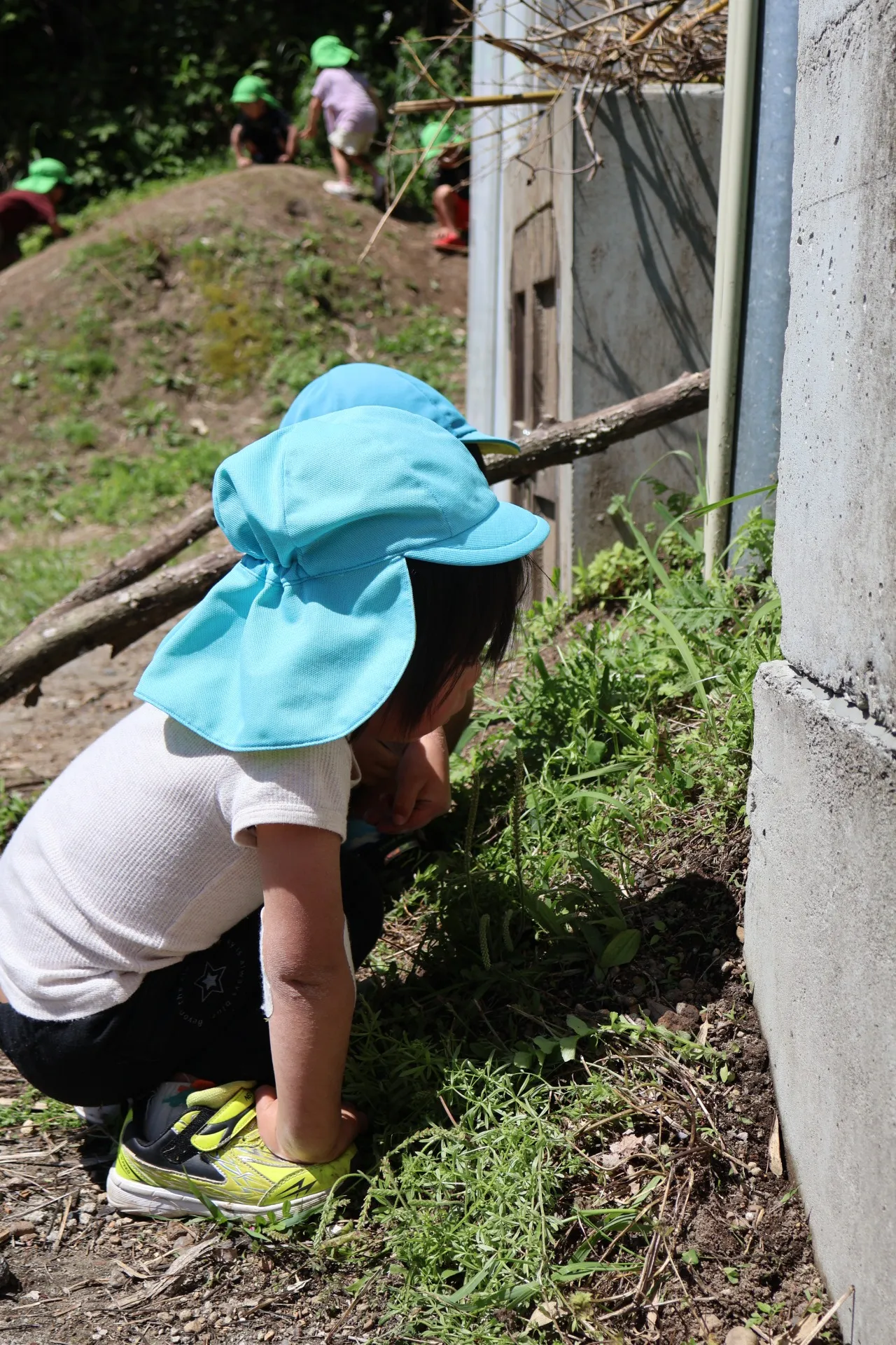 第２ひつじ組　ぞう組　２０２６年４月（第３週）