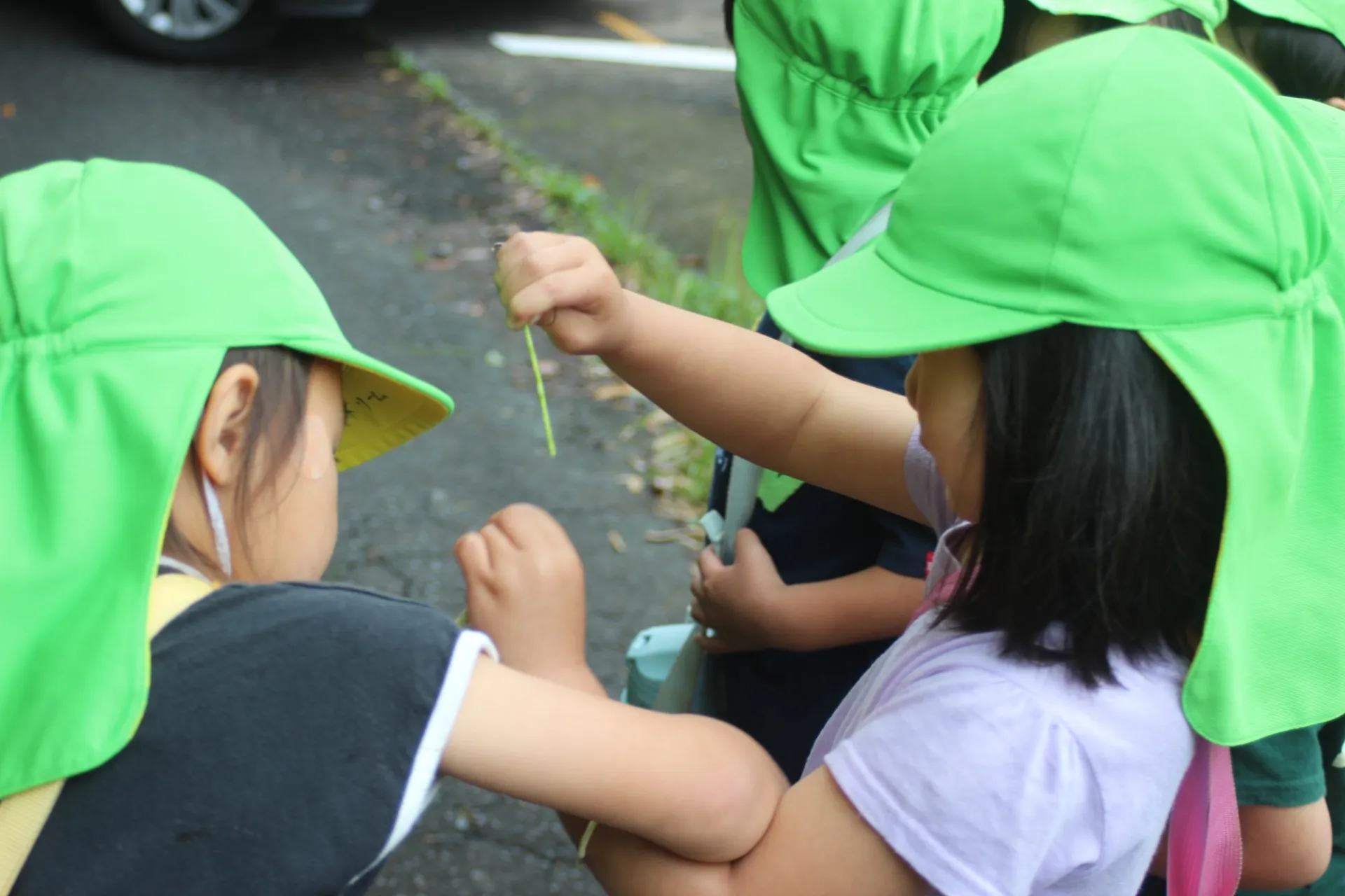 第１ぞう組　2026年４月（第４週）