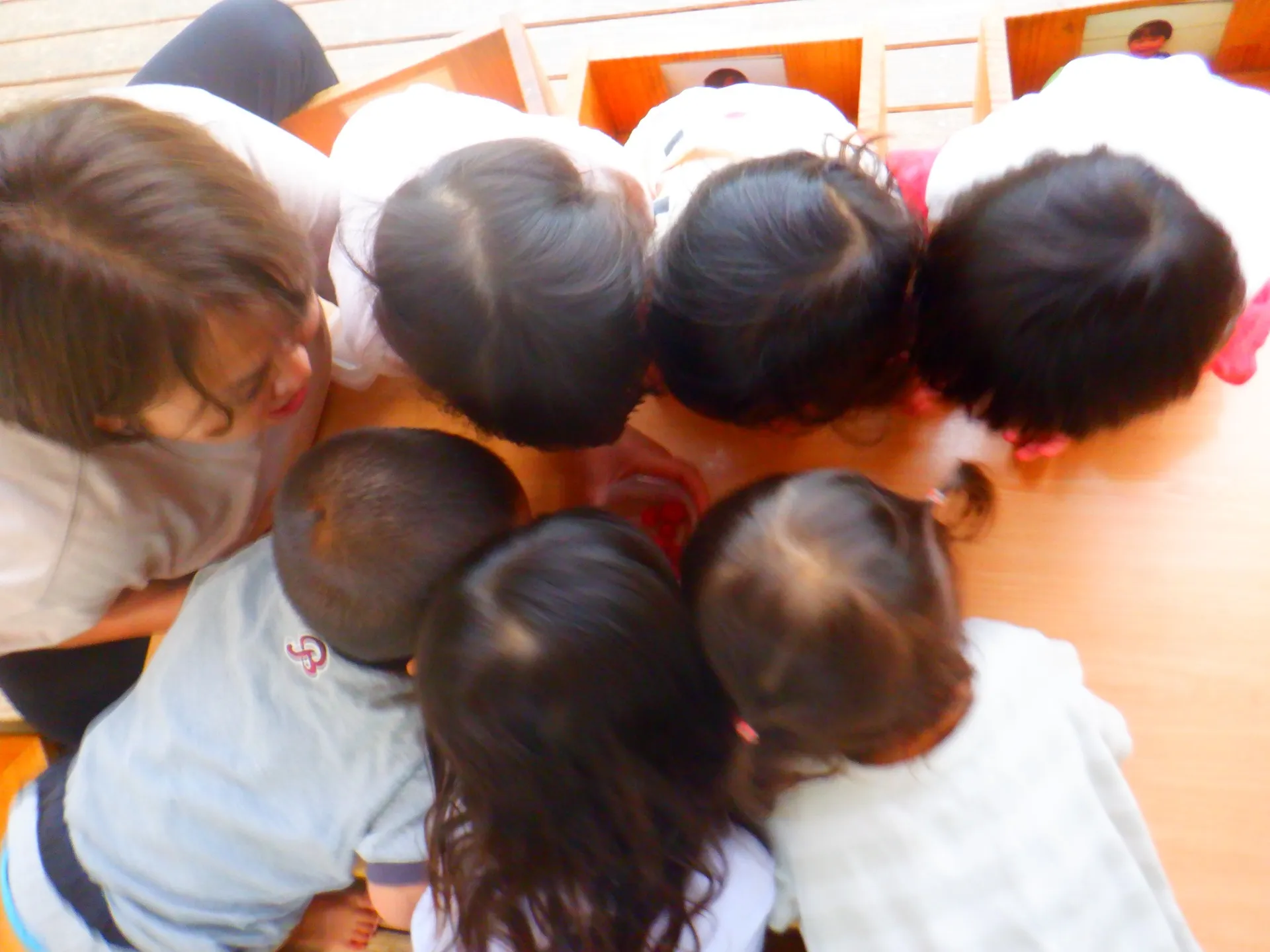 第１うさぎ組　２０２６年４月（第４週）