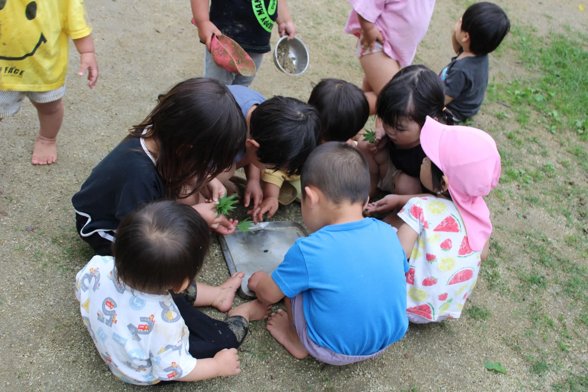 第１りす組　２０２６年４月（第４週）