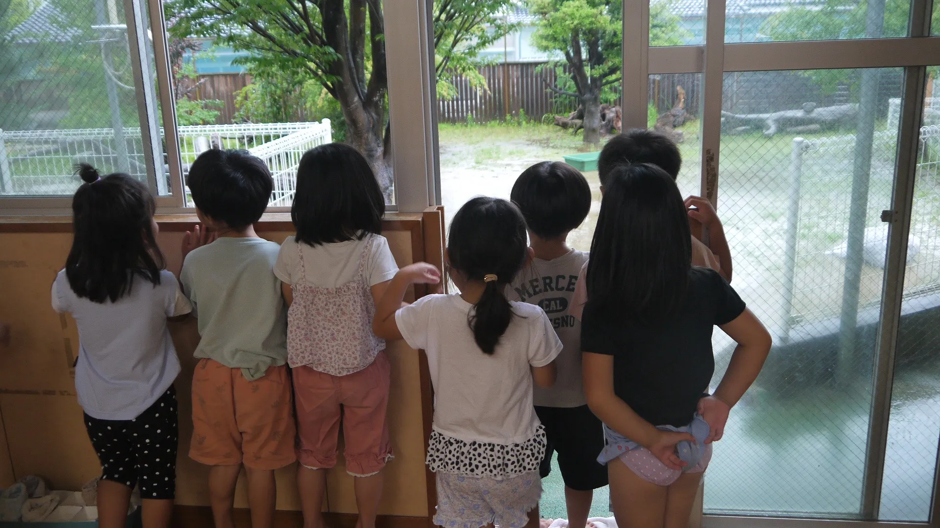 第１ぞう組　２０２６年５月（第５週）６月（第１週）