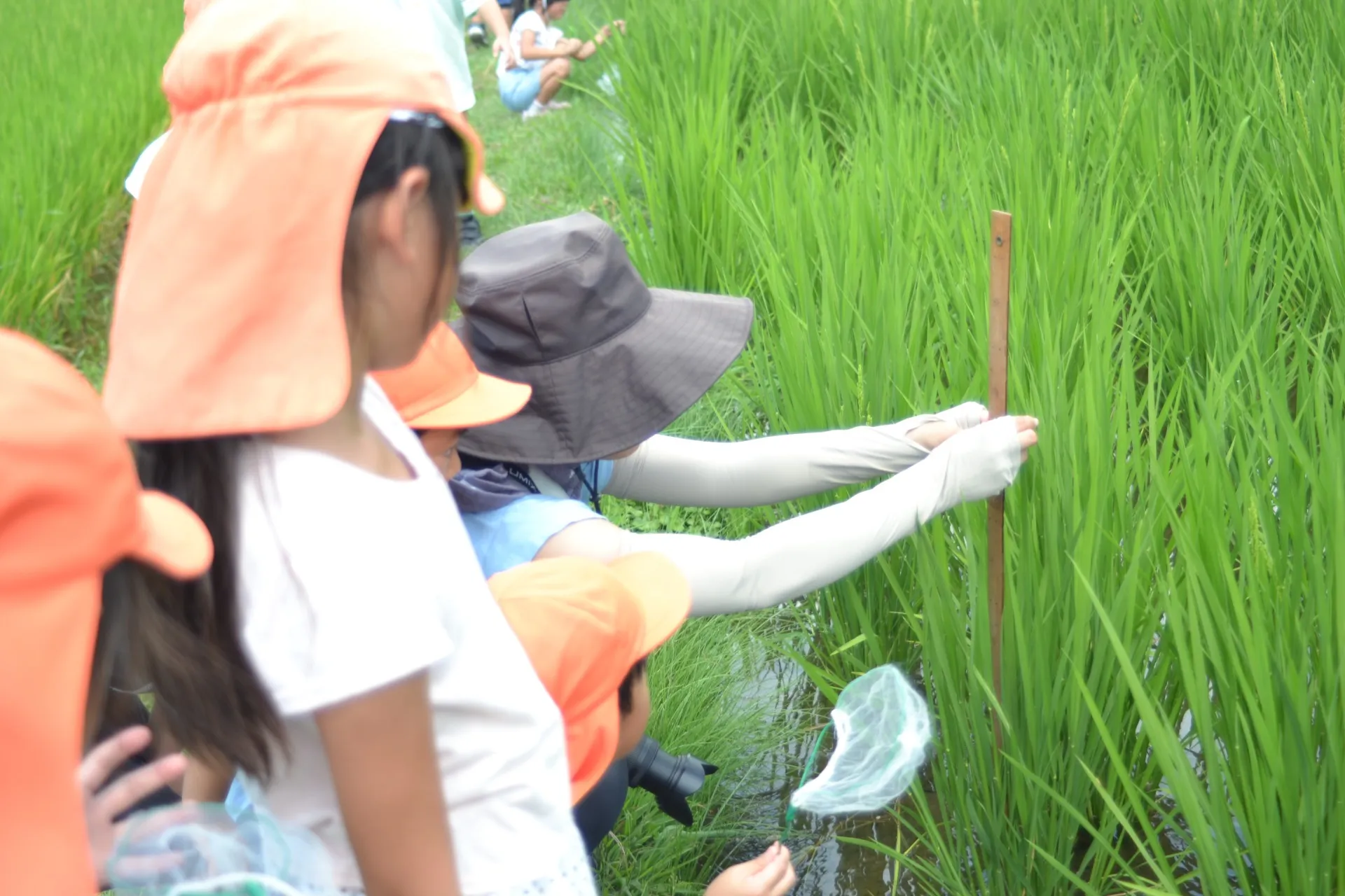 第２きりん組　２０２６年８月（第５週）